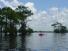 18HendersonSwamp3.jpg